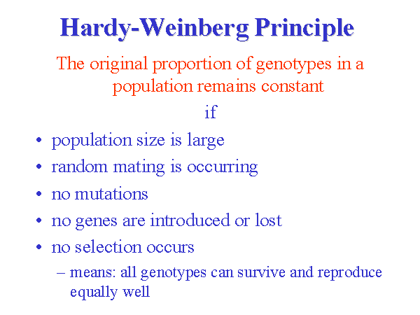 hardy weinberg principle